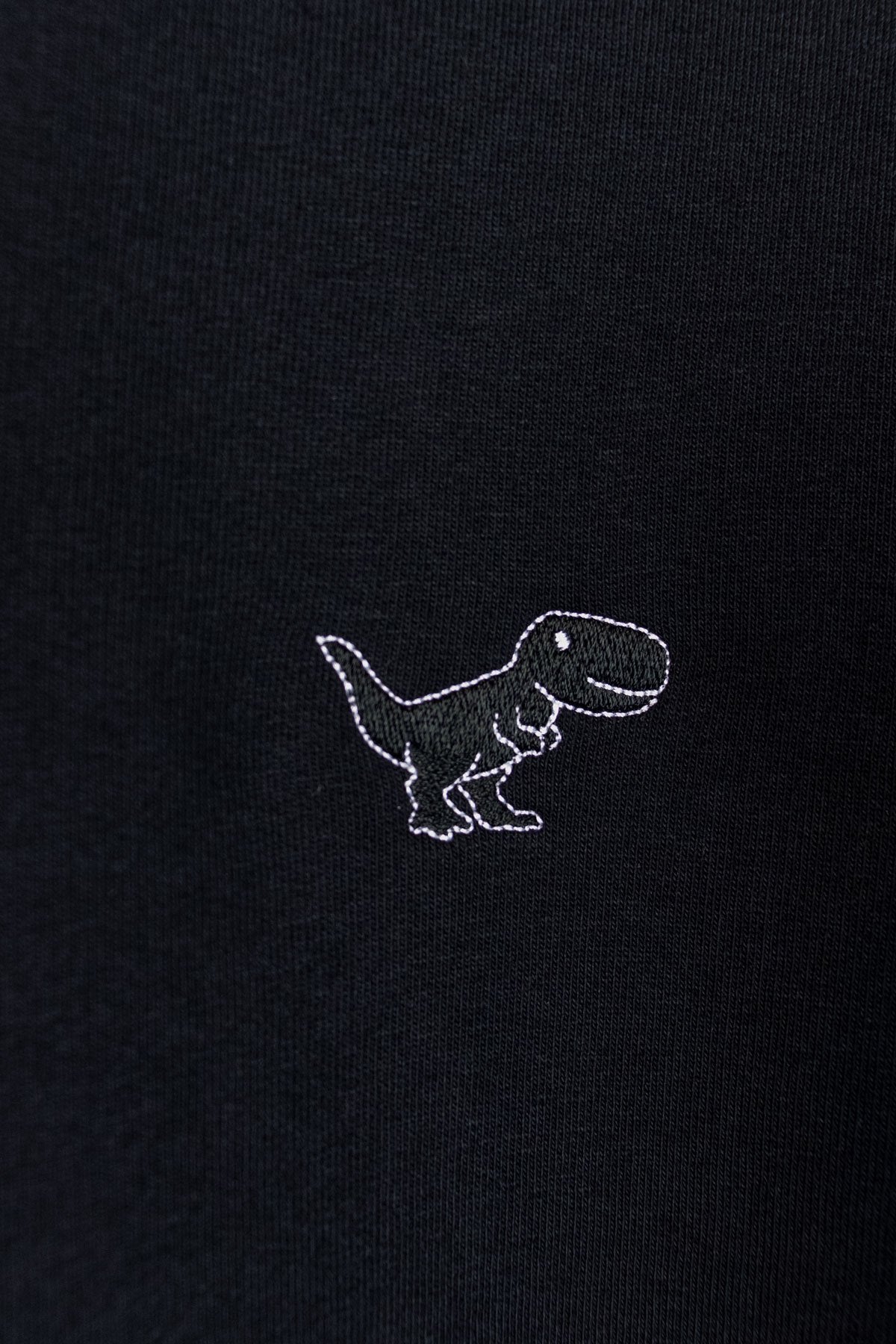 TIRY Unisex Dino Sweatshirt Schwarz-Schwarz