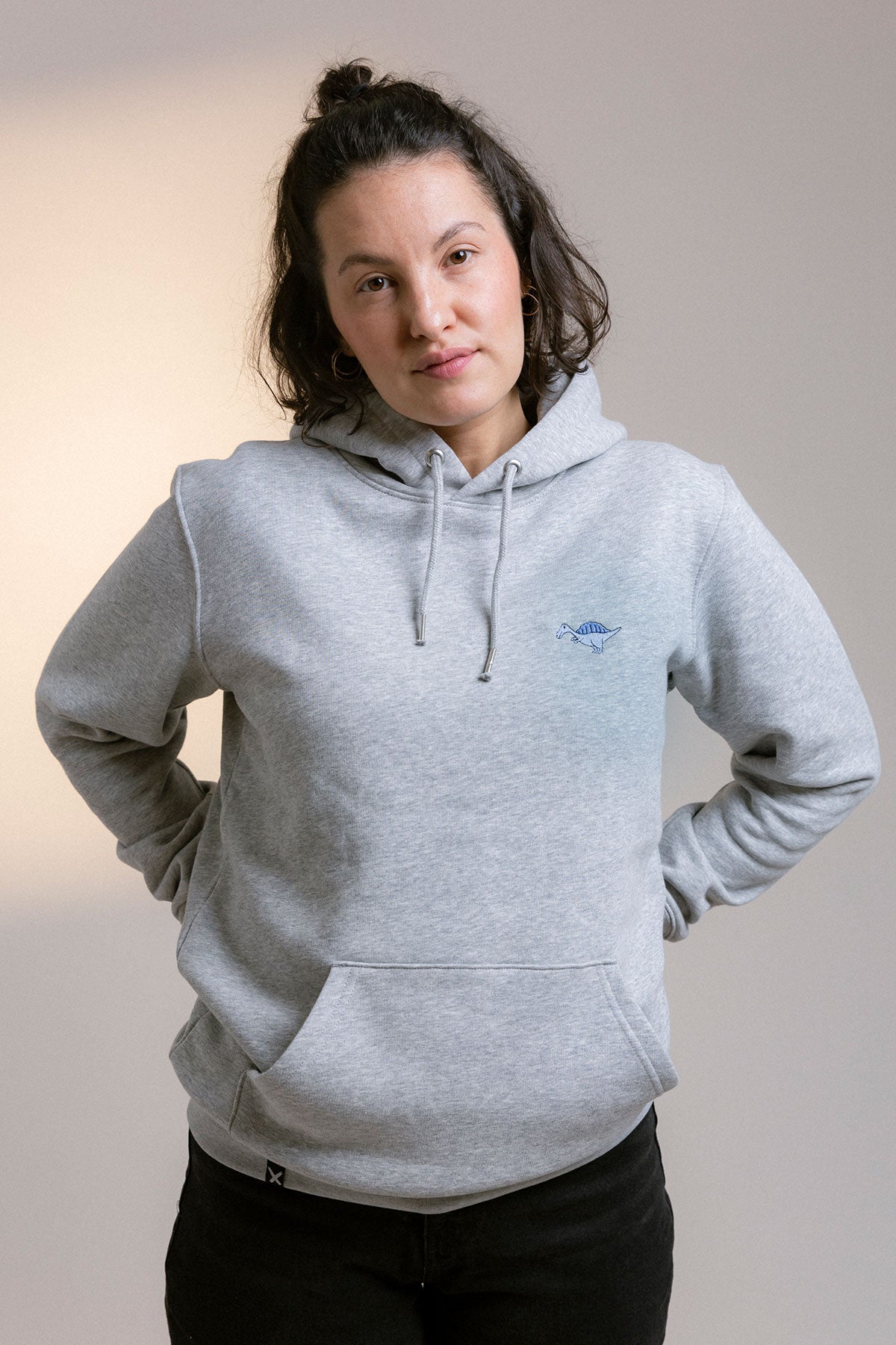 Unisex Hoodie Grau Dino